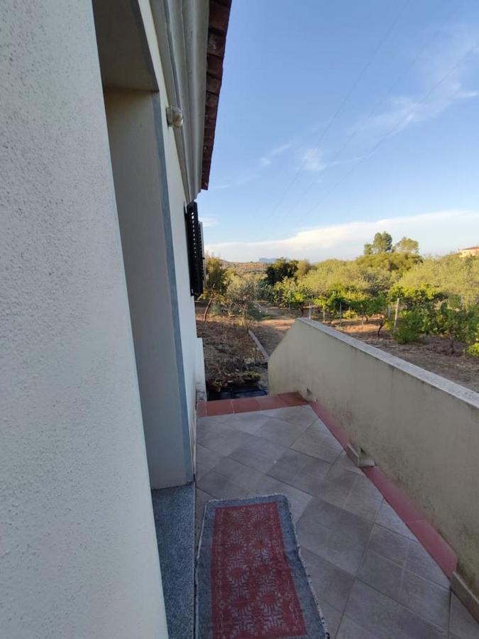 Villa Ulivella Schifoni Dış mekan fotoğraf
