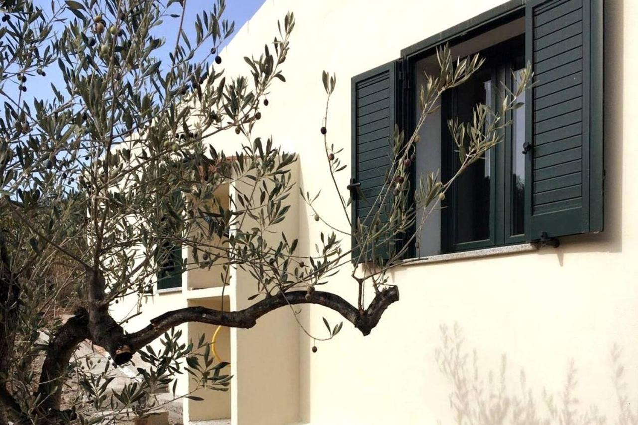 Villa Ulivella Schifoni Dış mekan fotoğraf