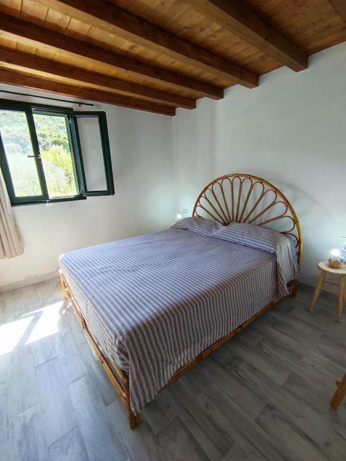 Villa Ulivella Schifoni Dış mekan fotoğraf