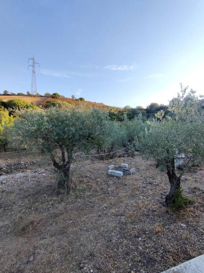 Villa Ulivella Schifoni Dış mekan fotoğraf