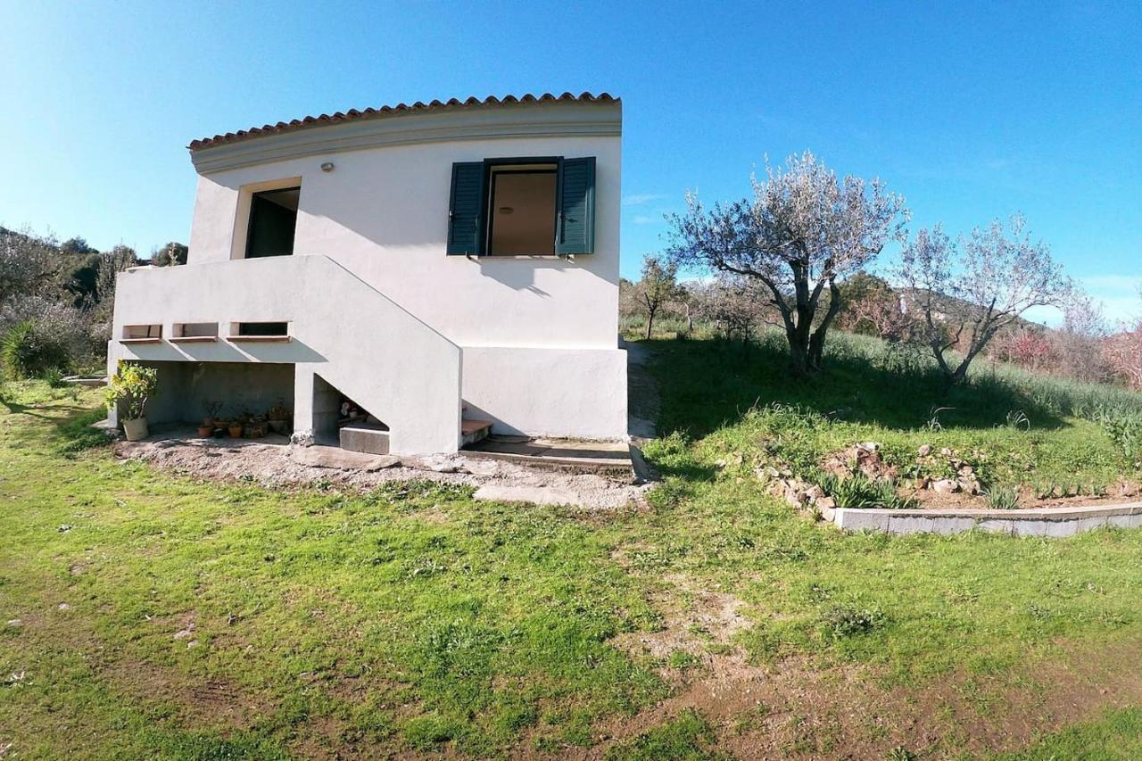 Villa Ulivella Schifoni Dış mekan fotoğraf