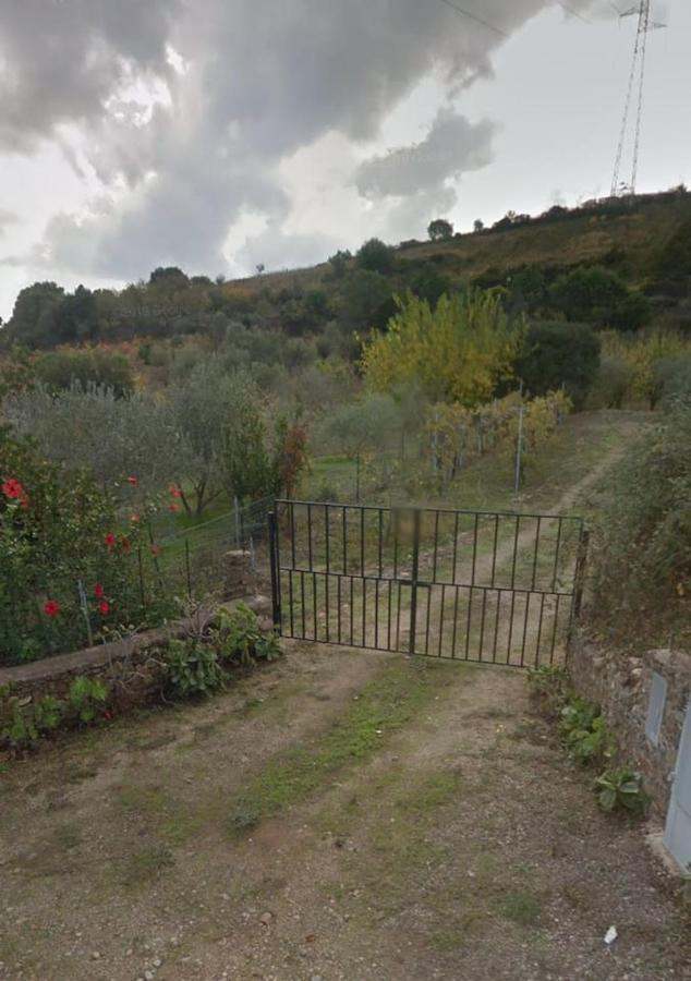 Villa Ulivella Schifoni Dış mekan fotoğraf
