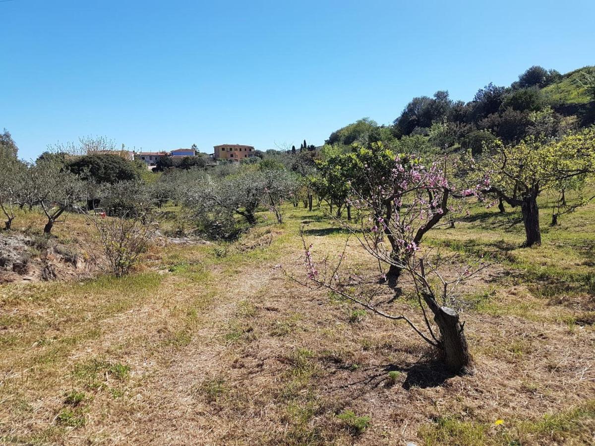 Villa Ulivella Schifoni Dış mekan fotoğraf