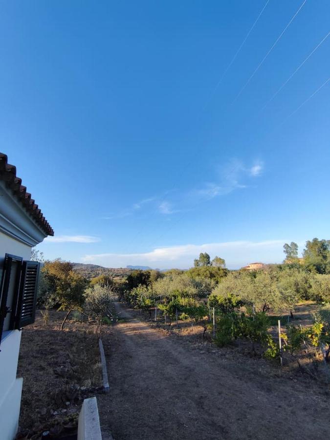 Villa Ulivella Schifoni Dış mekan fotoğraf